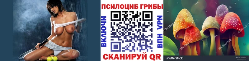 Псилоцибиновые грибы Psilocybe  цены наркотик  Кинешма 